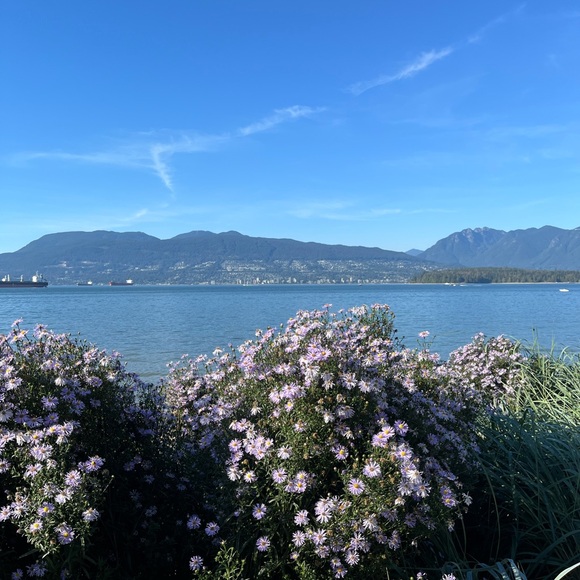 Meet your Posher, Ella - Picture 1 of 1